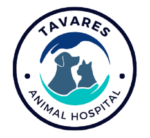 Tavares Animal Hospital