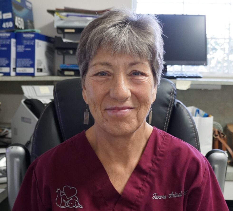 About Tavares Animal Hospital